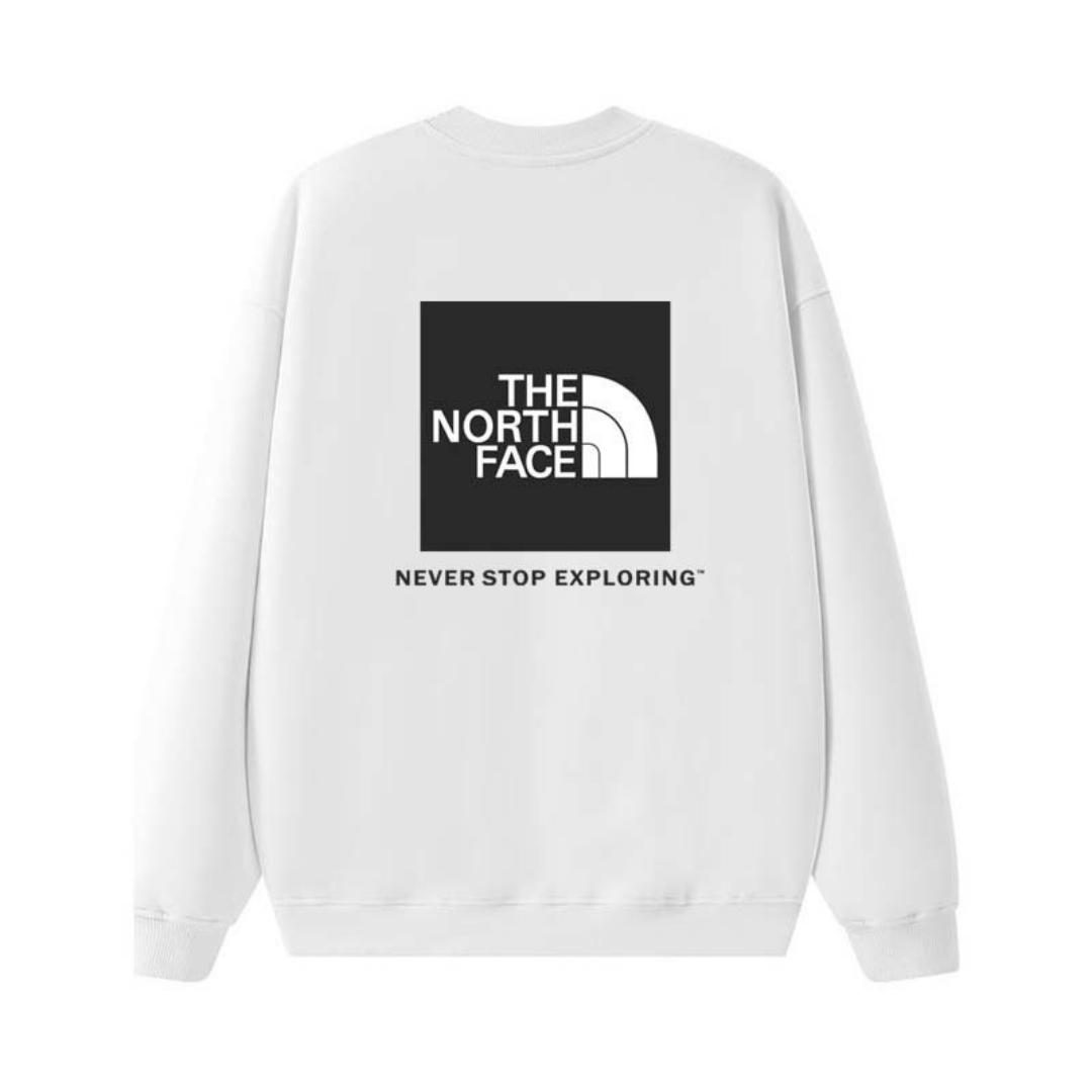 Tnf Monochromatic Hoodie