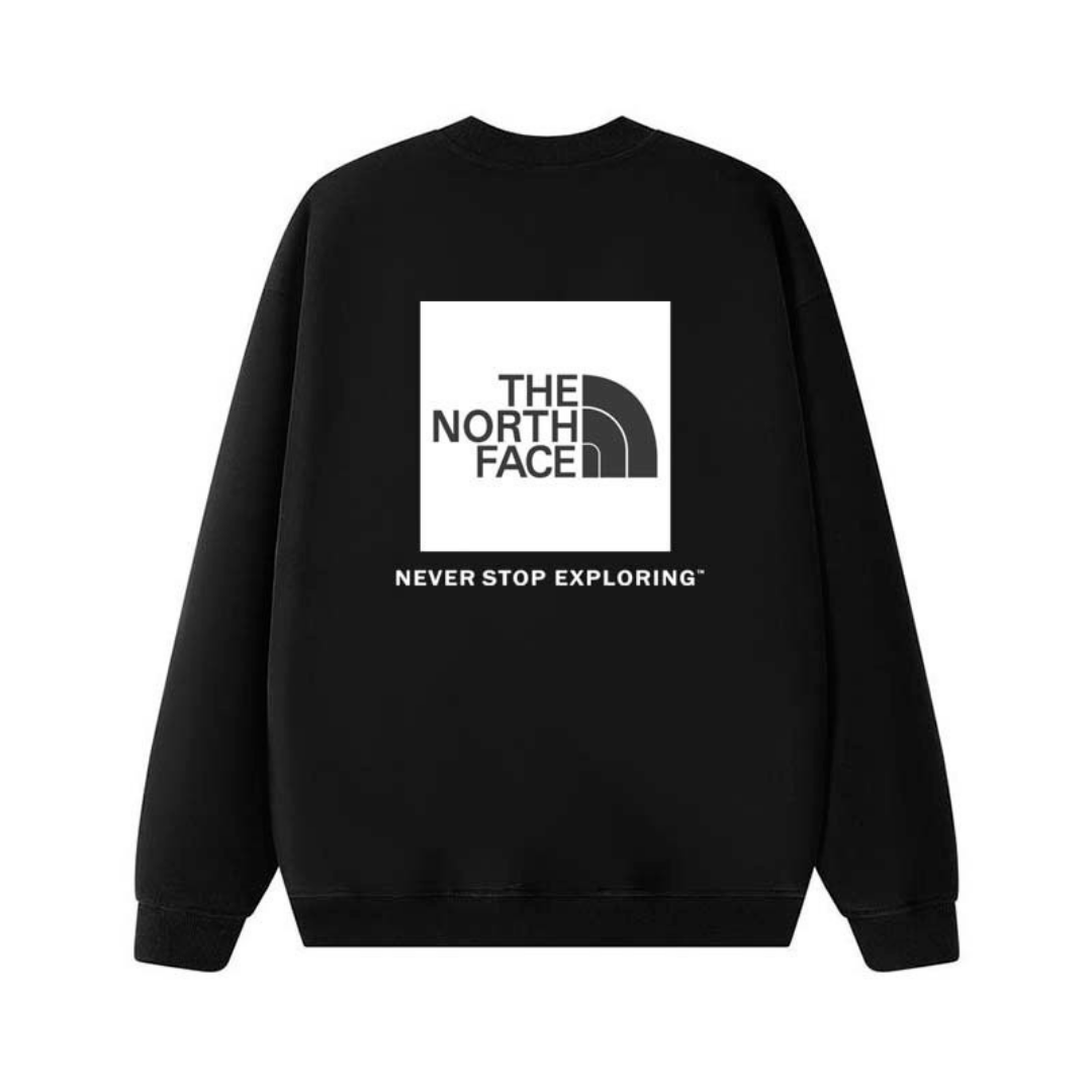 Tnf Monochromatic Hoodie