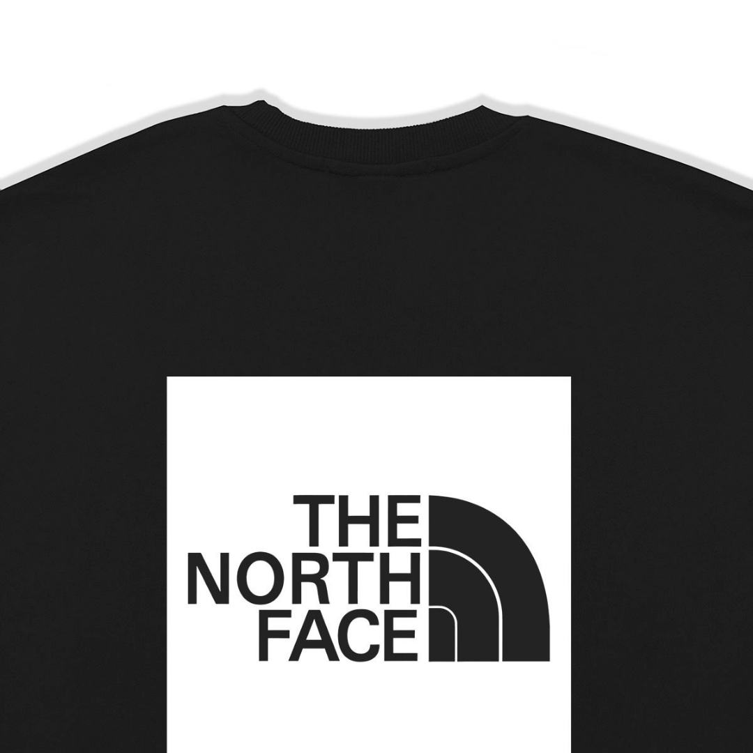 Tnf Monochromatic Hoodie