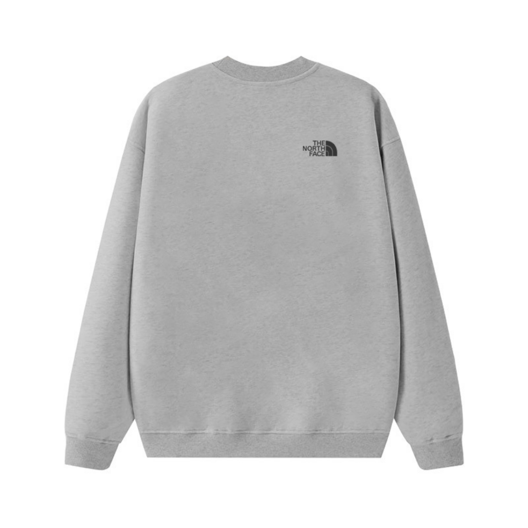 Tnf Monochromatic Hoodie